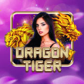 Dragon Tiger okbet apk live casino